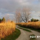 1514호 Daum카페