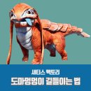 새티스 이미지