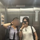 비엘태양광발전소 이미지