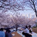 신석체육공원 입구 이미지