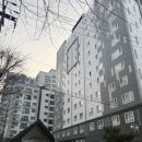 앤스테이 | 9호선 직장인 원룸 임장일지③ 선유도역 펫앤스테이 솔직후기