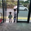 흰수염고래리조트 이미지