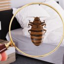 왕성세탁 이미지