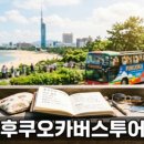 삼화매점 | 계곡캠핑장 선택 기준과 불법시설 정비 쟁점 비교