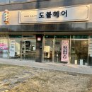 도블헤어