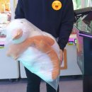 쥬쥬오락실 이미지