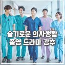 슬기로운 약생활