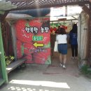 행복한 농장 이미지