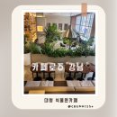 대현초등학교 | 삼성역 카페 책읽기좋은 식물원 감성 분위기 카페로쥬 강남 내돈내산
