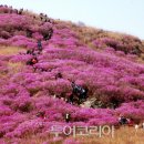 한화고속관광 이미지