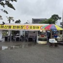 마린보이수산 | 🐙평택 전국수산 산오징어 포장 후기! 신선함이 살아있다✨️