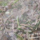 낭낭오리왕지점 이미지