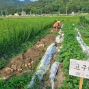 훈훈 농장 이미지