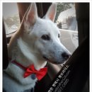 GS25 구미제일점 이미지