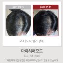 마야헤어모드 이미지