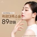 삐땅기의원 이미지