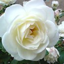 가정복지 이미지