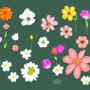 수영초등학교 이미지