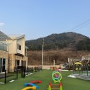 골드스푼애견풀빌라 | 가평) 애견 동반 풀빌라 ‘골드스푼’ 내 돈 내산 강추