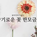 청송꽃차이야기솔채