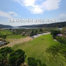 럭셔리정공인중개사사무소 Daum카페