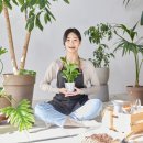 생활원예(반려식물) 이미지