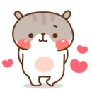 바우에프엔비 이미지