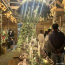 둘이이비인후과의원 이미지