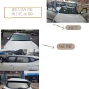셀터스
