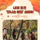 오픈스테이 이미지