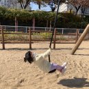 리리유치원 이미지