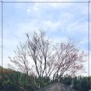 자연속공간 이미지