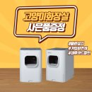 디디하이브