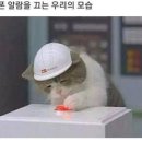 조선곱창 - 구미시 인동중앙로7길 28 | 조선곱창