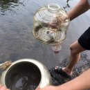 수성 민박 이미지