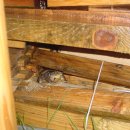 청해농장 이미지