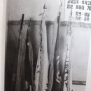 울진고등학교 | 울진여자고등학교(울진)8회