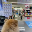 골프죤월드 | 잡월드 현실판 3탄 - 편의점 알바 후기 / 세븐일레븐 알바 후기 / 편순이