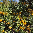 산규농장 이미지