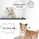 은민약국 | 11월
