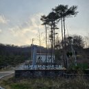 대구 근교 애견동반 캠핑장 군위전투전승기념공원 대대1번