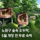 트리하우스 이미지