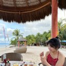 배그로브(BAE GROVE) | 보홀 시키호르 리조트 코코그로브 Coco grove beach resort 내돈내산 투숙후기 (항구픽업, 조식, 수영장...