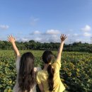 새우리농장 이미지