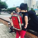 성암초교 병설유치원 이미지