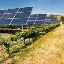 순태양광발전소 이미지