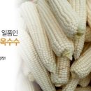 진가네농장 이미지