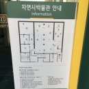 대학로(유성-3) 이미지