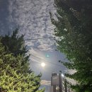 이천희농장 | 231008 / 일상(p들이 에버랜드가서 노는법)