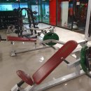 핏 플러스짐 이미지